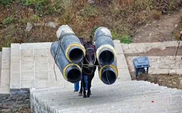 济南马帮运输
